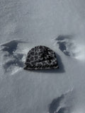Snow Leopard